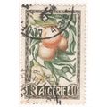 Algeria 1950 - 40f - Oranges - used