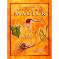 A Compendium of Herbal Magick