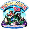 Tennessee the Volunteer State Artwood Montage F...
