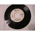 Amazing Rhythm Aces Promo 45-ASHES OF LOVE STER...
