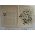 1901 engraving & illustrated article Stirling C...