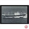 Holland-America Line SS ALBLASSERDYK Postcard