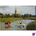 GB Postcard - Salisbury Cathedral, Wiltshire & ...