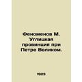 The Phenomenon of M. Uglice Province under Peter the Great. In Russian (ask us i