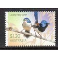 AUSTRALIA, 2023 FAIRY WRENS, LOVELY FAIRY-WREN,...