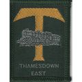 Scout Badge UK- Thamesdown East - Shiny Gold - ...