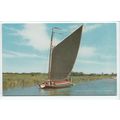 Wherry Albion Boat Norfolk Broads Postcard 3999c