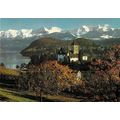 Schloss Spiez Thunersee Switzerland Postcard 19...