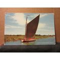 WHERRY, 'ALBION', NORFOLK BROADS unused postcar...