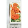 1939 Wills Garden Flowers No. 6 Calendula