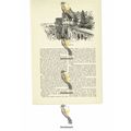 Chateau Amboise, France, Book Illustration (Pri...