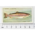 1933 Players Fresh-water Fishes, pink back No. ...