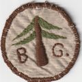 Scout Badge? - Country Unknown - BG/Tree - Hess...