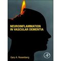 Neuroinflammation in Vascular Dementia