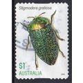 Australia 2016 Jewel Beetles - Stigmodera grati...
