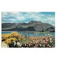 Ben Nevis From A Garden In Corpach, Inverness-s...