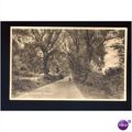 Surrey CHEAM Ewell Road Postcard by Frith (77061)