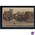 Sussex ARUNDEL St Philips Postcard by Judges (5...