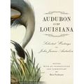 Audubon On Louisiana