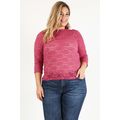 Plus Size Sheer Lace Fitted Top