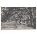 Springfield Park Upper Clapton London 1912 Anim...
