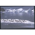 France PC - (French Antarctica Issue) - Penguin...
