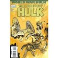 Incredible Hulk (Vol 3) # 111 NM MODERN AGE COMICS