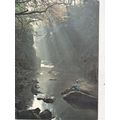 Fairy Glen Betwys Y Coed Postcard posted1976 co...