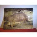 GROTTE de FONT DE GAUME, LES EYZIES-DE-TAYAC, D...