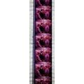 Pk GEB - B - MIX - b 040N. 1 STRIP OF 5 - 35MM ...