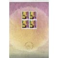 Switzerland 2006 Christmas PTT Card FDC Luzern ...