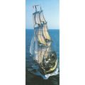 AE 31: HMS Rose - An Eighteenth-century America...