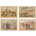 Huntley & Palmers Biscuits Farm Animals 4x Advertising Postcard s