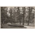 Goteborg Kungsparken Sweden Real Photo Old Post...