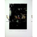 By The Brook, Mrs Stanhope Forbes, Book Illustr...