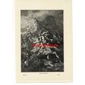 Battle Of Fornovo, History Of France, Book Illu...