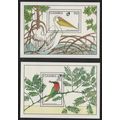 Gambia Red-throated bee-eater Eastern white pel...