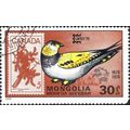 MONGOLIA, BIRD, Tibetan Sandgrouse, Syrrhaptes tibet, orange 1978, 30mongo, #2