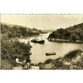 Wales ST DOGMAELS River Teifi Postcard (Valenti...