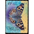 Australia 1998 Butterfly 45c Used Stamp Meadow ...