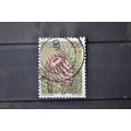 SOUTH AFRICA SG 0423 USED #2