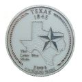 Texas State Quarter Fridge Magnet