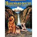 Homeward Bound: The Incredible Journey (VHS, 19...