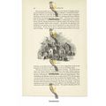 Clopton House, Near Stratford, Warks, Book Illu...