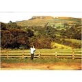 Colour Postcard - The White Horse, Kilburn, Yor...