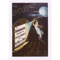 Movie Theatre Poster Art Postcard The Biograph ...