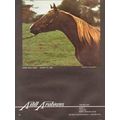 aihill arabians 1972 sunny acres robin equestri...