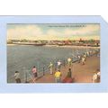 New Jersey Long Branch View From Fishing Pier~1561