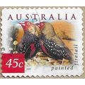2001 - Painted Firetail - 16771