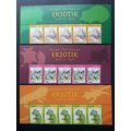 Exotic Pets Malaysia 2013 Animal Hedgehog Iguan...